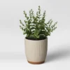 Textured Ceramic Planter Pots White - Opalhouse™ -Opalhouse sale shop GUEST 81b3ab19 db4f 409c 9397 ff90f528d623