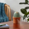 Cactus Ultrasonic Diffuser Green - Opalhouse™ -Opalhouse sale shop GUEST be681bb5 49e3 41f7 99a3 5bc52fb79585