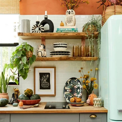 Seasonal Shelfie Collection - Opalhouse™ designed with Jungalow™ Seasonal Shelfie Collection - Opalhouse™ Designed With Jungalow™ -Opalhouse sale shop GUEST da556706 1e36 4063 84de 42f703790556